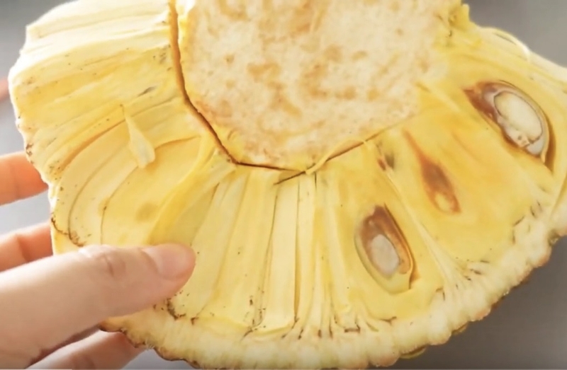 mít bị xơ đen có ăn được không 1