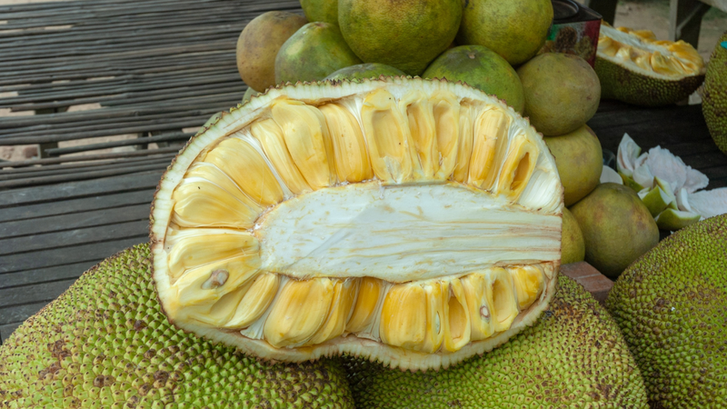 Mít dai khi nắn sẽ cho cảm giác chắc tay