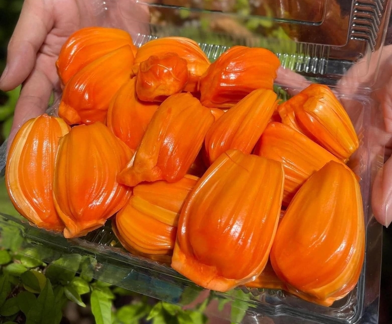 Mít ruột đỏ và những lợi ích không ngờ đối với sức khỏe 2