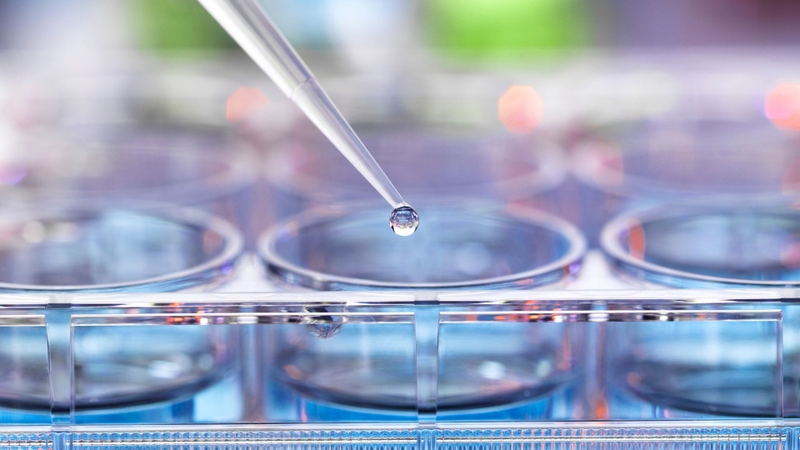 Mô hình di truyền mới cung cấp thông tin chi tiết về di căn ung thư vú1