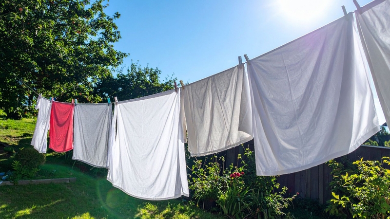 Phơi quần áo ở nơi thoáng mát, sạch sẽ, tránh gần khu vực có tổ kiến