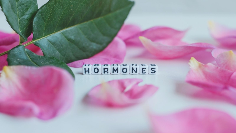 Thay đổi nội tiết tố