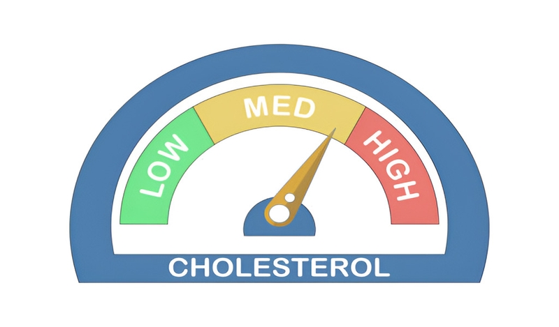 Mỡ máu ký hiệu là gì? Những thông tin qan trọng về chỉ số mỡ máu 1