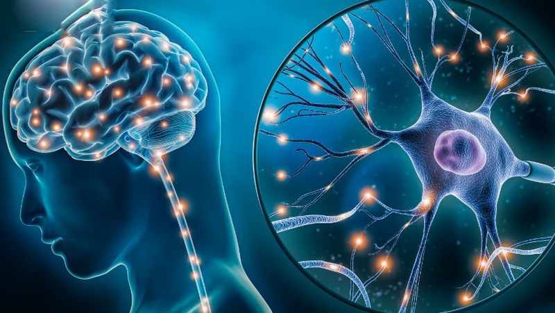 Mỡ máu thấp: Nguyên nhân, triệu chứng và cách điều trị 4