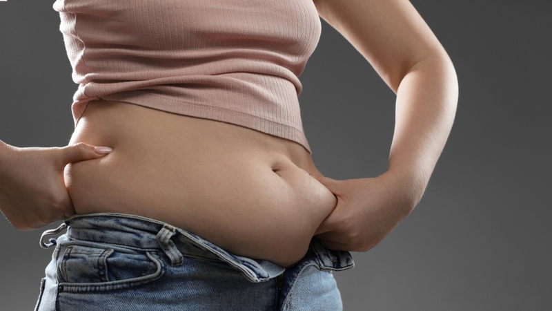 Mỡ nội tạng cao có nguy hiểm không? Giải đáp từ chuyên gia 1