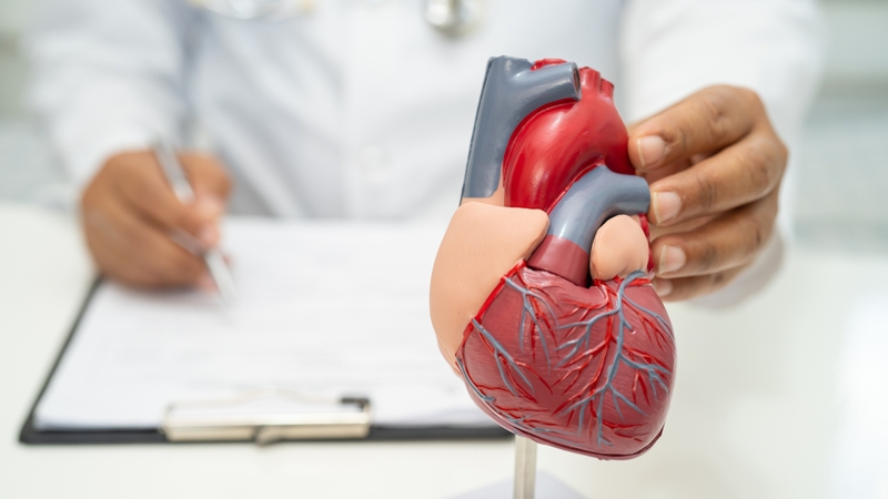 Mỡ nội tạng là gì? Làm sao để giảm mỡ nội tạng? 2