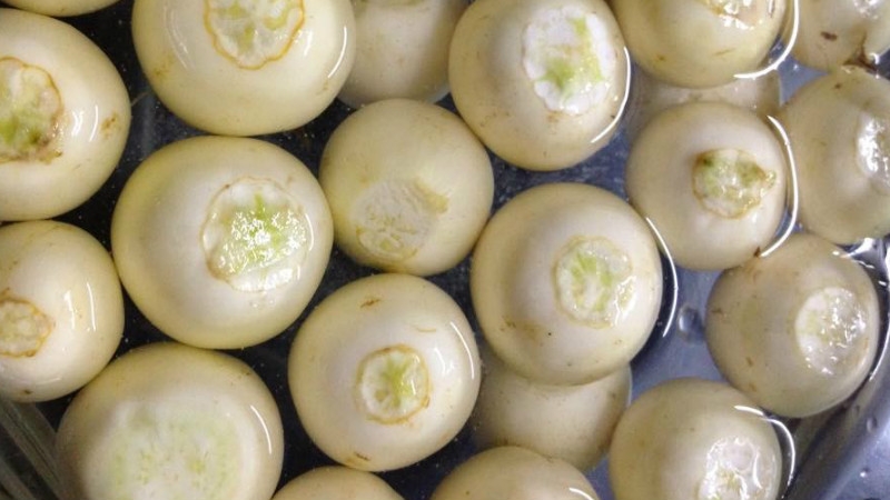 Mổ sỏi thận xong kiêng ăn gì để bệnh không tái phát?2