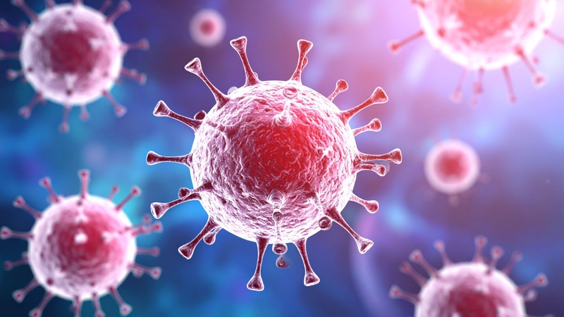 Vi khuẩn có thể xâm nhập vào vết mổ hoặc mô xung quanh cột sống, gây viêm nhiễm