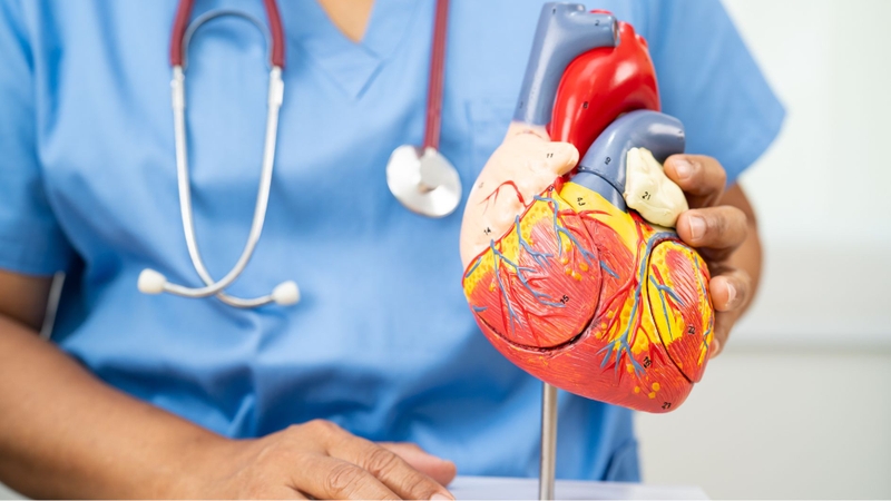 Phẫu thuật tim được thực hiện để điều trị nhiều dị tật và bệnh lý tim mạch