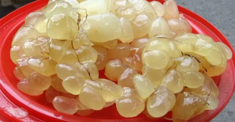 Cách tẩy lông chân bằng mỡ trăn tại nhà hiệu quả nhất 2