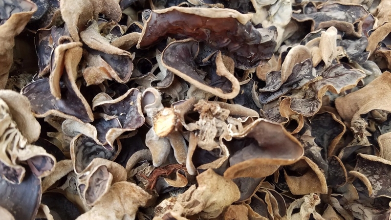 Mộc nhĩ có tác dụng gì? Điều cần chú ý khi sử dụng 3