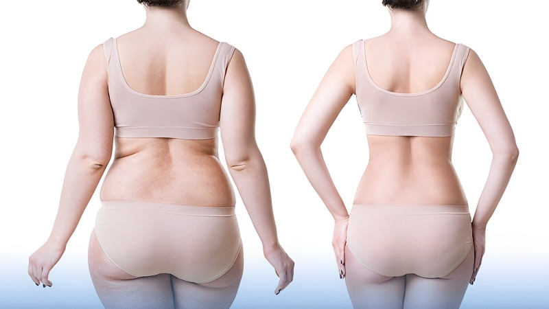 Tác dụng của cây mộc thông là gì? 3.jpg