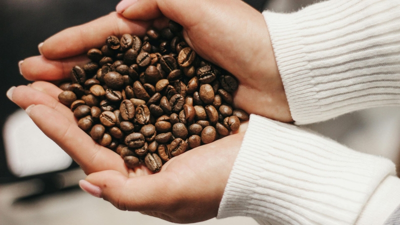 Mocha  mang đến sự cân bằng giữa vị đắng của cà phê và vị ngọt béo của chocolate