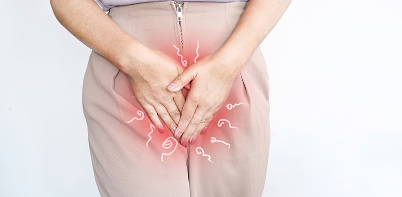 Môi bé là gì? Cấu tạo và chức năng của bộ phận “nhạy cảm" này 3