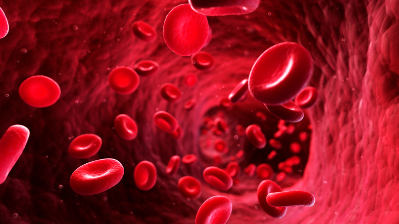 Huyết ứ khiến máu lưu thông chậm, tế bào không được nuôi dưỡng đầy đủ