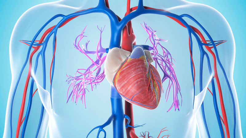 Mối liên quan giữa cholesterol và viêm như thế nào? 2
