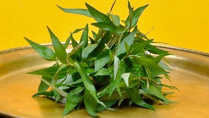 Mới xăm môi có ăn được rau răm không? 4