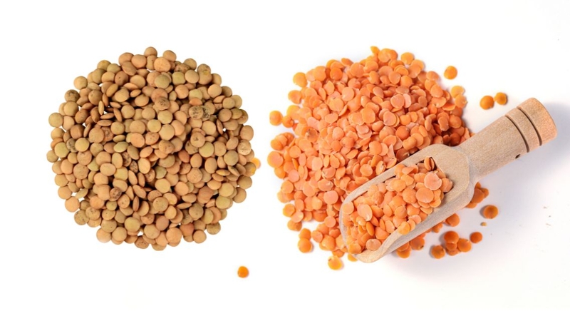 Gợi ý 10 món ăn dặm từ đậu lăng vừa ngon vừa bổ cho bé 1