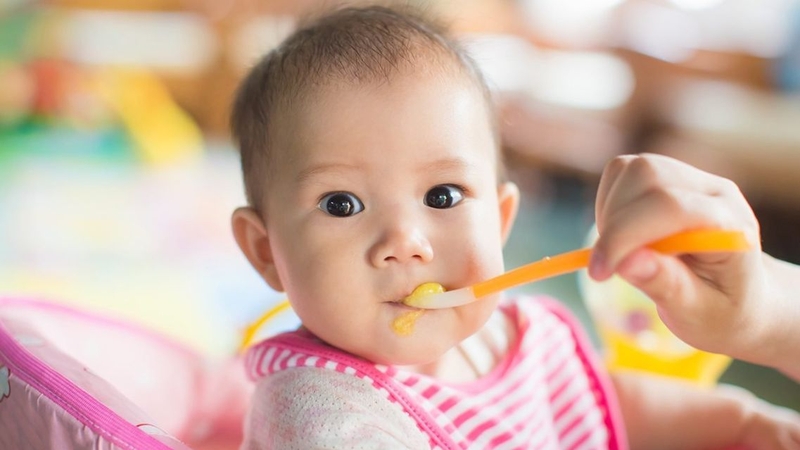 Tìm hiểu&nbsp;món mềm cho trẻ mới tập ăn&nbsp;là việc cần thiết