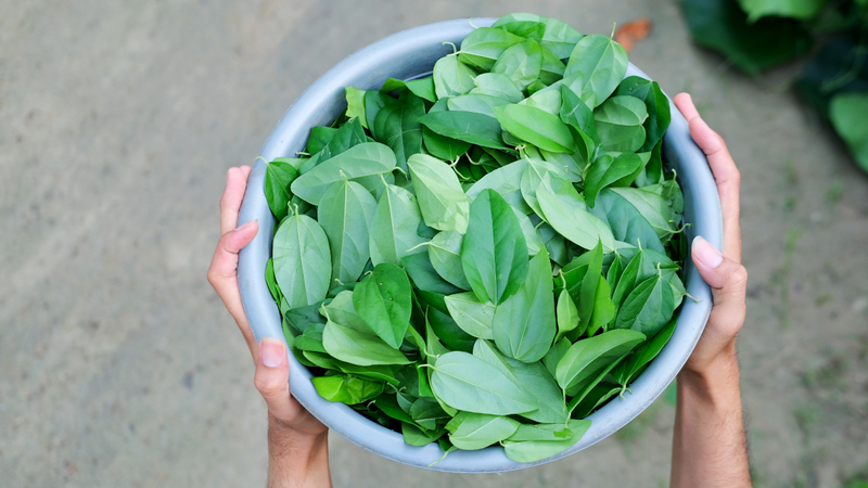 Món sương sâm bao nhiêu calo? Có phù hợp giảm cân không? 1