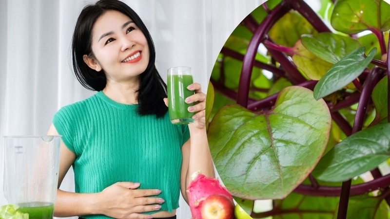 Mồng tơi tím: Lợi ích và những lưu ý khi dùng! 2