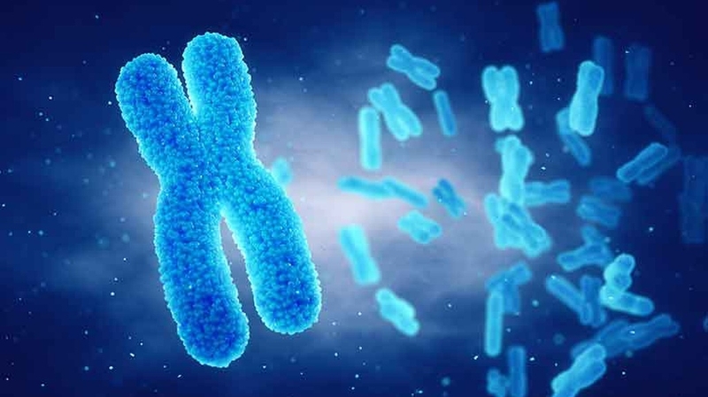 Monosomy X và tất tần tật những thông tin cần biết 4