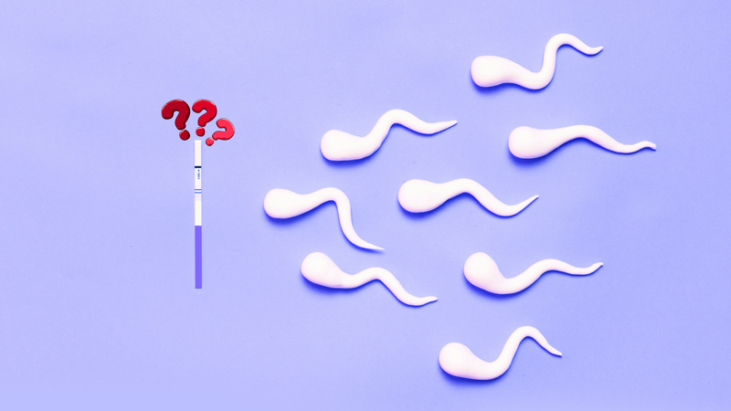 Một giọt tinh trùng có thai không? Đây là thắc mắc phổ biến của nhiều cặp đôi