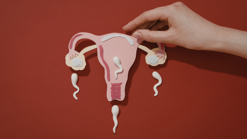 Không phải mọi trường hợp có tinh trùng tiếp xúc đều dẫn đến mang thai