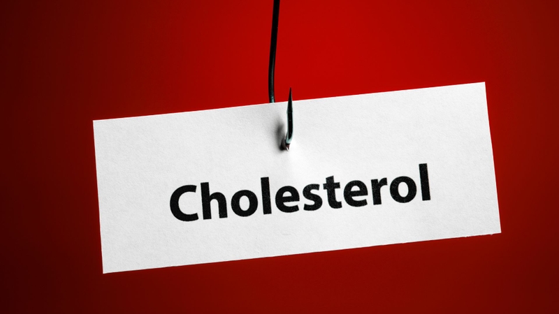 Một mũi tiêm để giảm cholesterol suốt đời? Các nhà khoa học mở ra liệu pháp gen đột phá 1