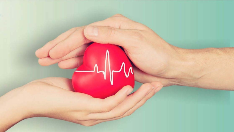 Một ngày nên ăn bao nhiêu quả táo đỏ khô? Lợi ích của táo đỏ khô đối với sức khỏe ra sao? 2