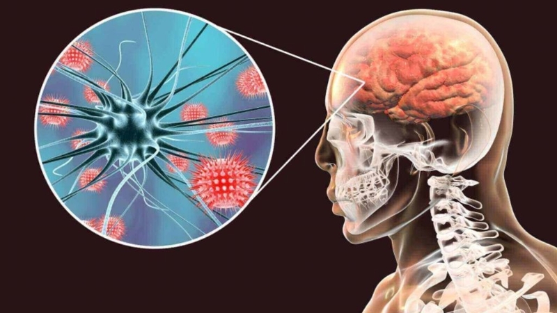 Một người có thể tái nhiễm vi khuẩn Hib không? 3