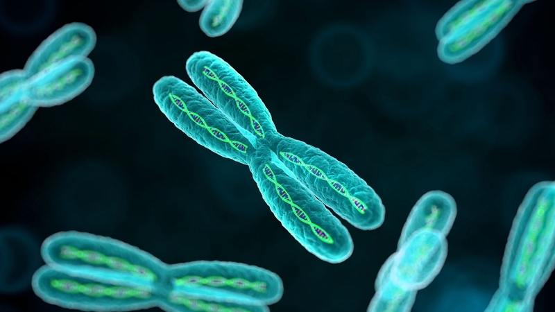 Một số bệnh do bất thường nhiễm sắc thể gây ra bạn nên biết 3