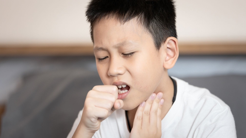 Viêm đường hô hấp là một trong những biến chứng viêm não Nhật Bản