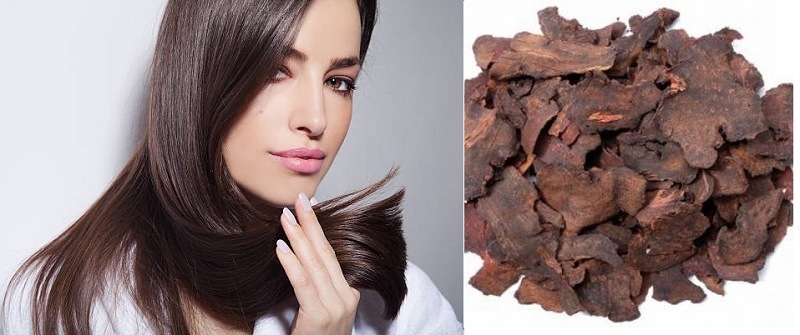 Trị tóc bạc sớm với hà thủ ô