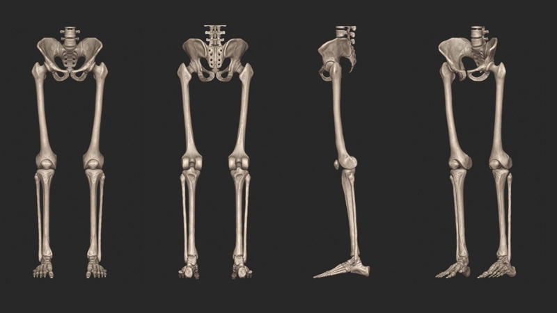 Một số đặc điểm giải phẫu xương chi dưới 1