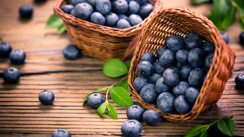 Việt quất chứa anthocyanin và nhiều hợp chất chống oxy hóa tự nhiên