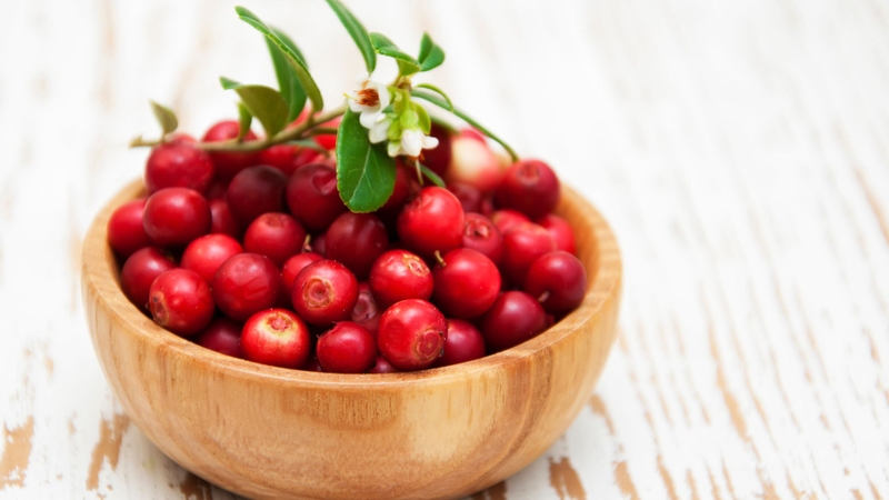 Nam việt quất chứa nhiều polyphenol và thường được biết đến với vai trò hỗ trợ sức khỏe đường tiết niệu