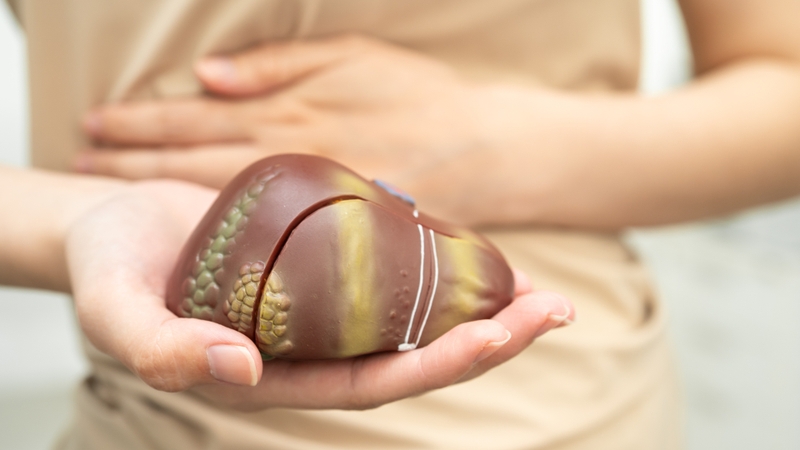 Suy gan có thể làm giảm khả năng chuyển hóa và đào thải estrogen, dẫn đến tình trạng ứ đọng hormone trong cơ thể