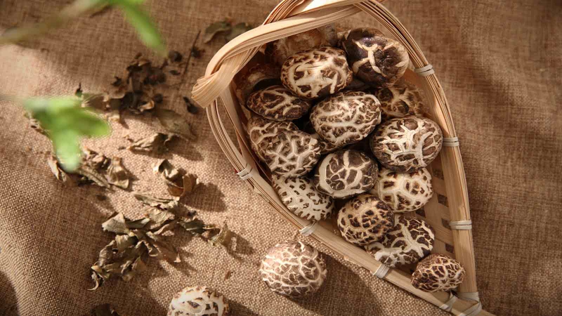 Một số sai lầm thường gặp khi ăn chay mà bạn nên biết 4