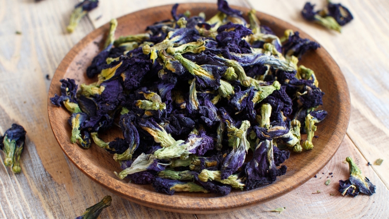 Một số tác dụng của hoa đậu biếc đối với sức khỏe bạn có thể tham khảo 2