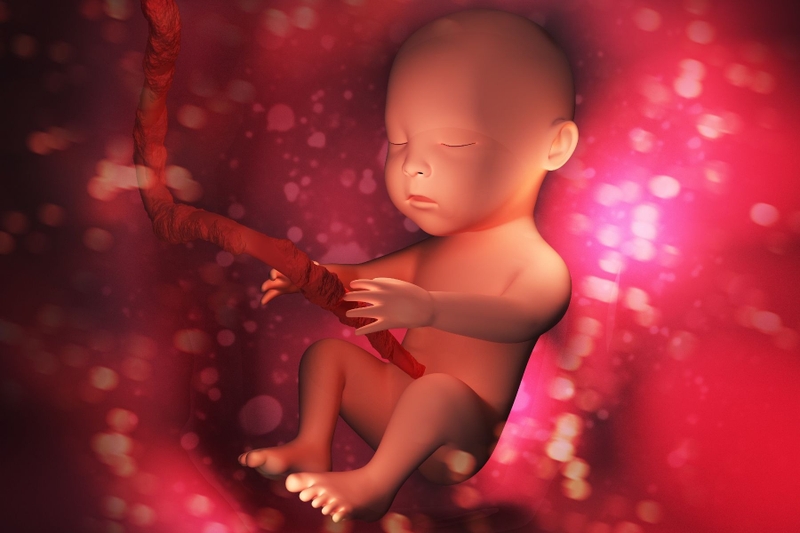 Cùng chuyên gia tìm hiểu một số thực phẩm làm giảm nước ối và tình trạng dư ối 2