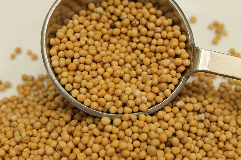 8 cách làm cho trẻ hết đái dầm mà không dùng thuốc 2