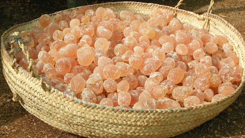 Mủ trôm có cần nấu không là thắc mắc chung hiện nay của người dùng