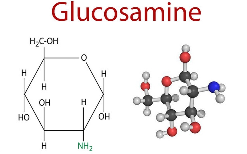 Mua glucosamine của Mỹ loại nào tốt? Giá cả như thế nào? 1