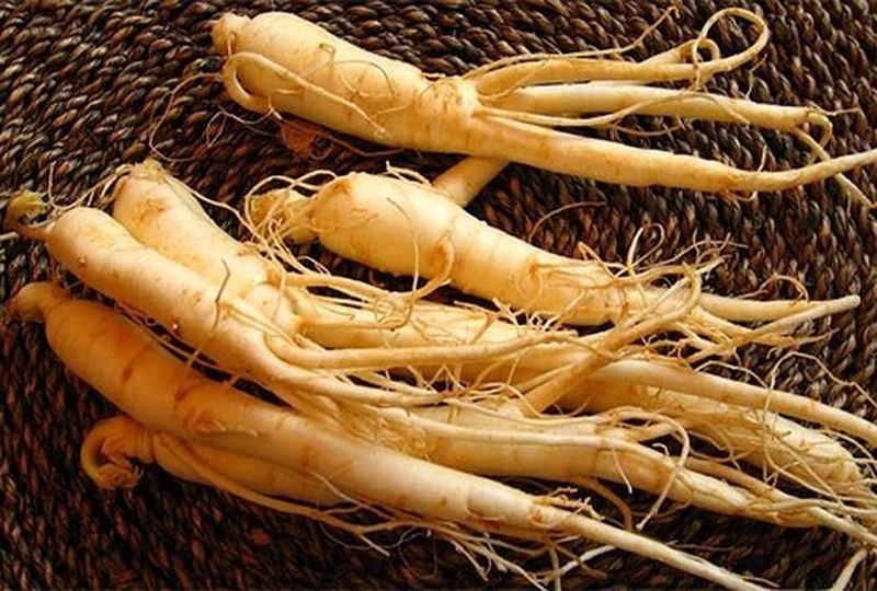 Sự thật về việc dùng nhân sâm có nóng không? 2