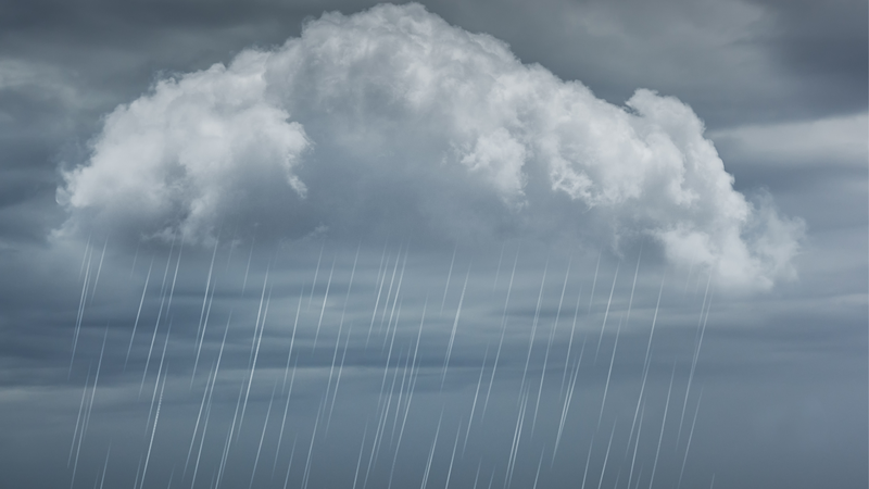 Mùa kiến ba khoang bắt đầu khi nào? Một số mẹo phòng ngừa kiến ba khoang bạn nên biết 1