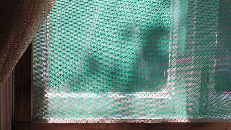 Mùa kiến ba khoang bắt đầu khi nào? Một số mẹo phòng ngừa kiến ba khoang bạn nên biết 4