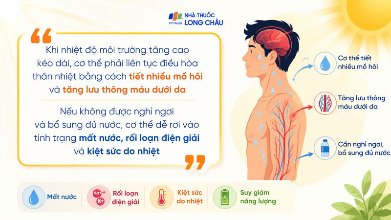 Nắng nóng tạo áp lực lên quá trình điều hòa thân nhiệt