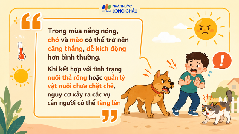 Trong mùa nắng nóng, chó và mèo có thể trở nên căng thẳng, dễ kích động hơn bình thường