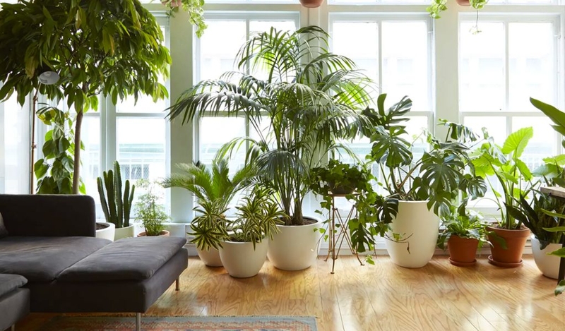 Mùa nồm ẩm kéo dài bao lâu? Ảnh hưởng và cách khắc phục ẩm ướt? 3